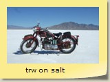 trw on salt