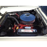 Jim McNamara's 1959 Ranch Wagon 292 Y-Block (1)